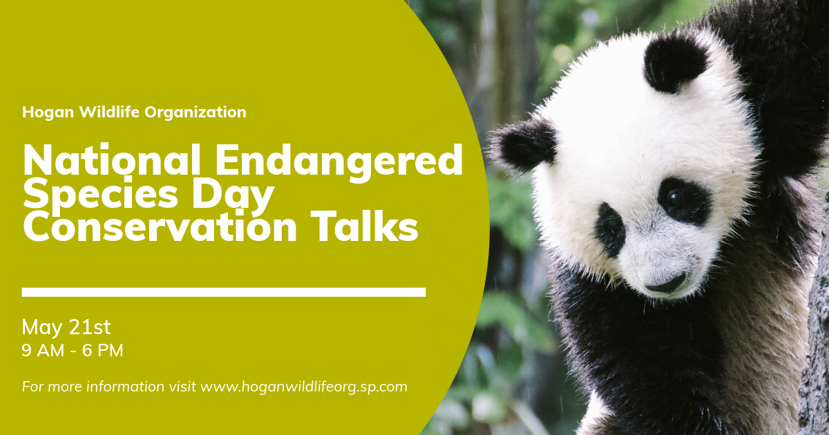 Green & White Endangered Species Event Facebook Post