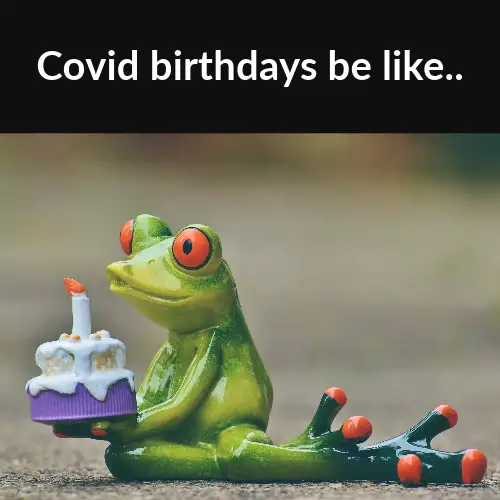 Black And Green Frog Covid Birthday Meme Square