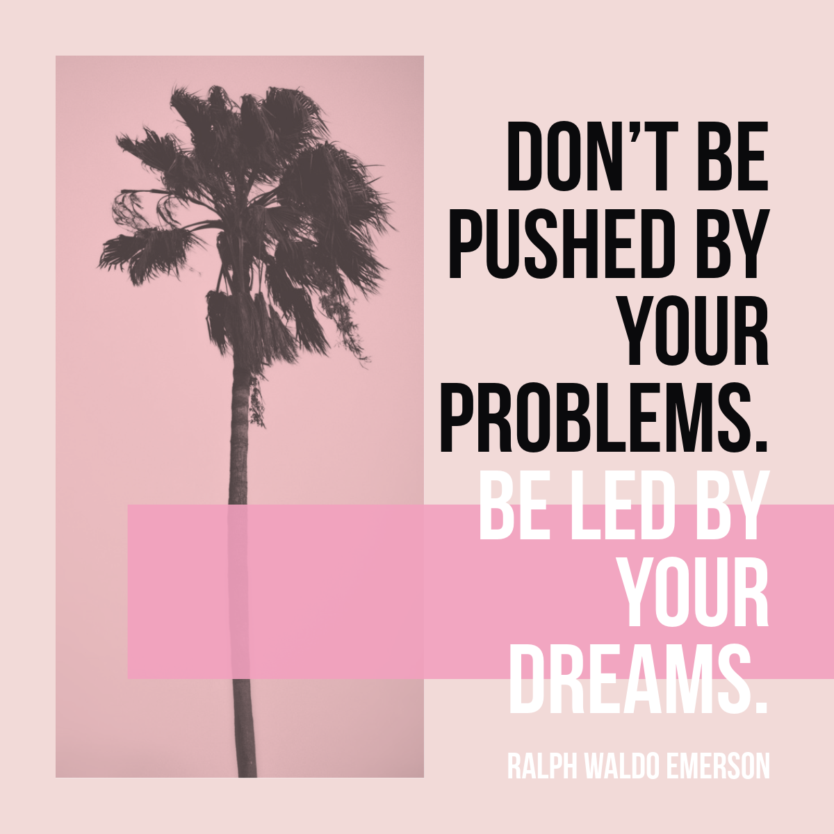 Pink Motivational Quote Squarewith Palm Tree Instagram Square