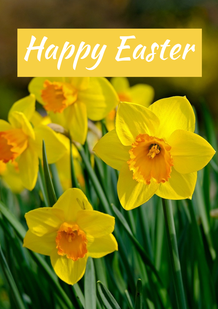 White Green Yellow Orange Daffodil Flower Easter Spring Illustration A5 Greeting Card