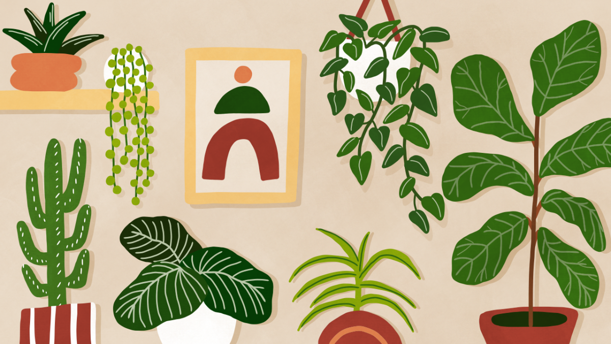 Green Houseplant Illustration Desktop Wallpaper
