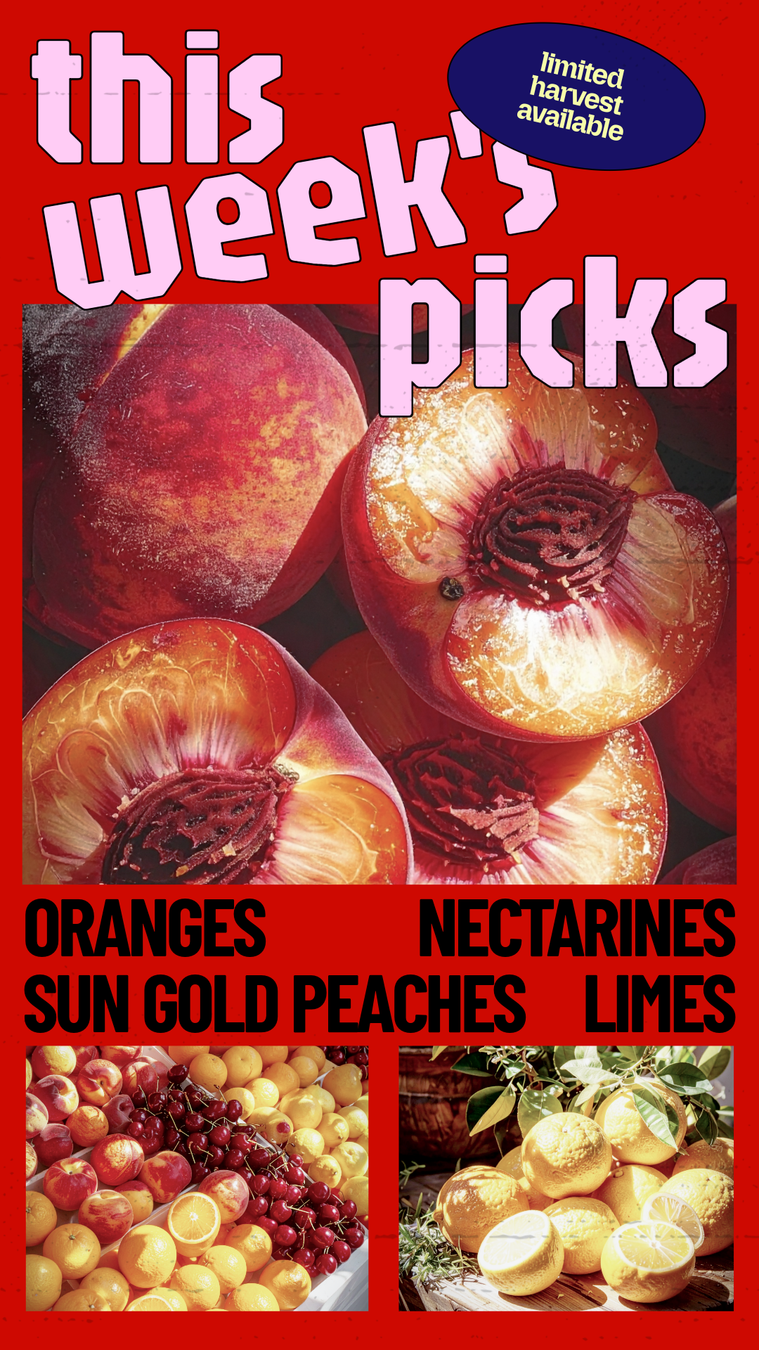 Playful and Colorful Fruit Stand Weekly Picks Instagram Story