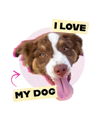 Brown and Yellow Pet Love T-Shirt