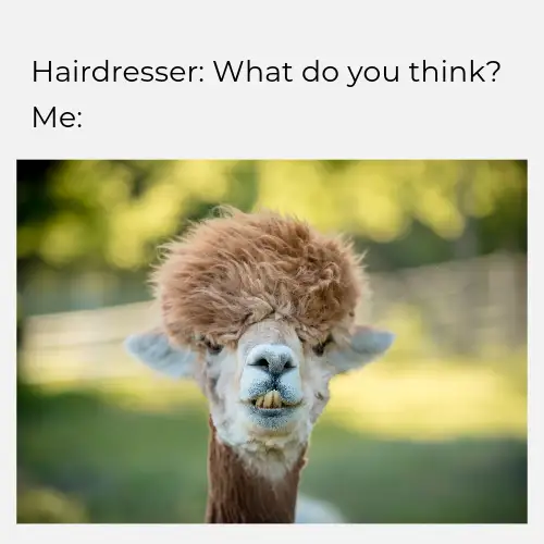 Green And White Funny Meme Square