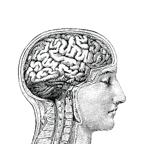 Blank Black and White Brain Meme