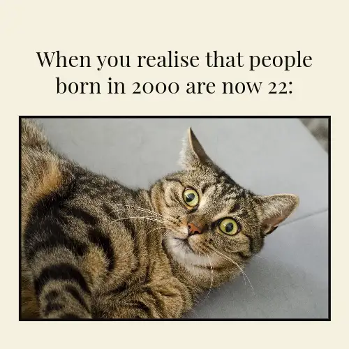 Cream And Black Cat Shocked British Meme