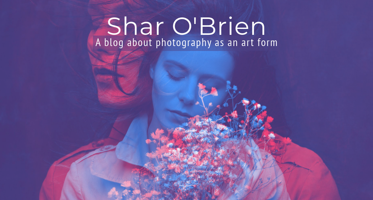 Blue Purple and Red Lifestyle Blog Banner