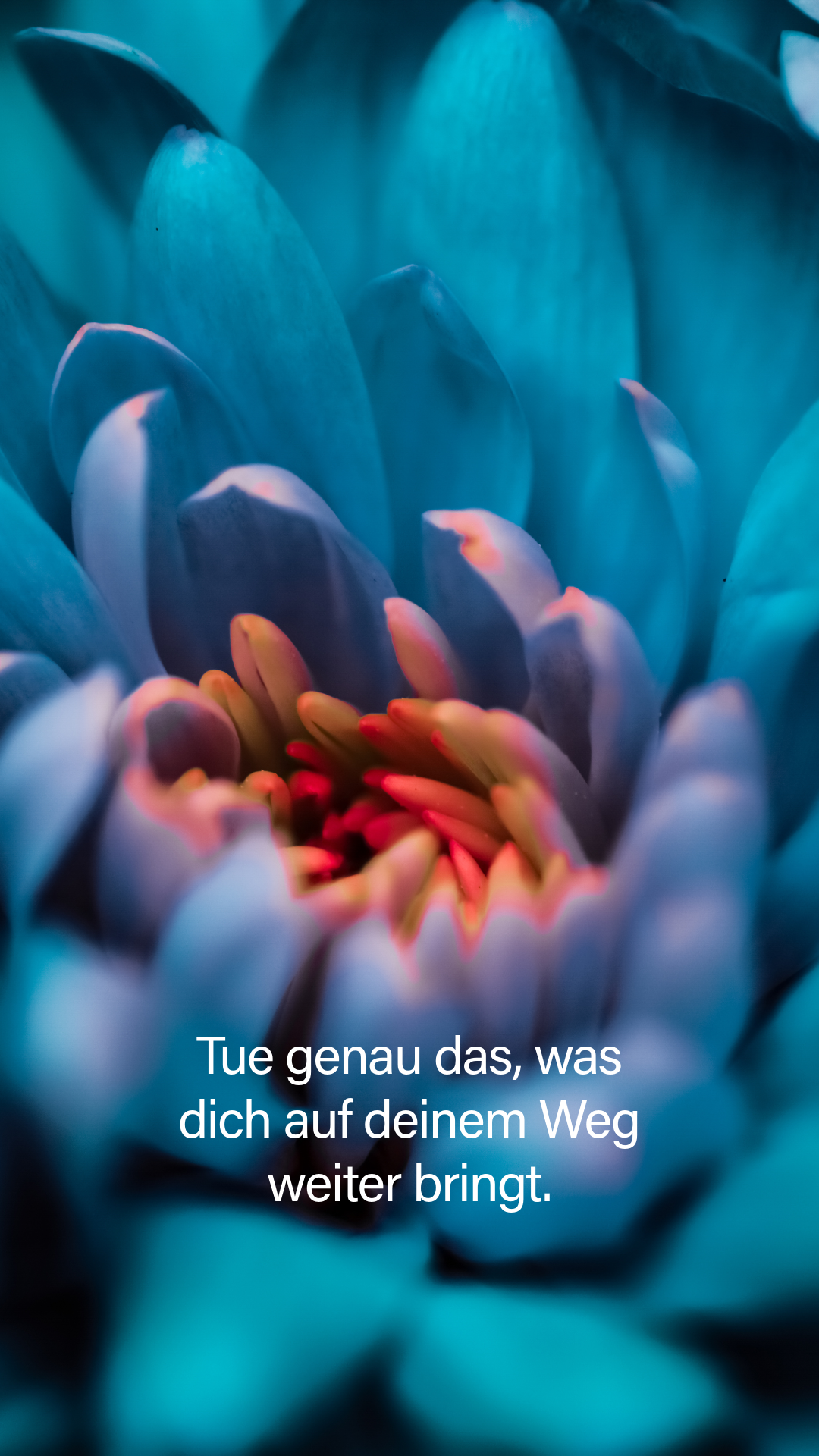 Blue Motivational Phone Wallpaper