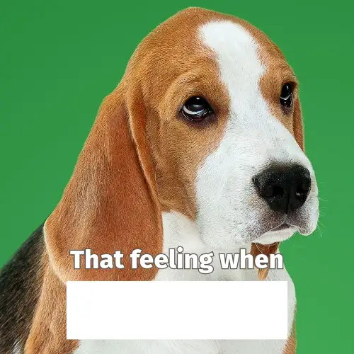 Green and Brown Sad Dog Blank Meme