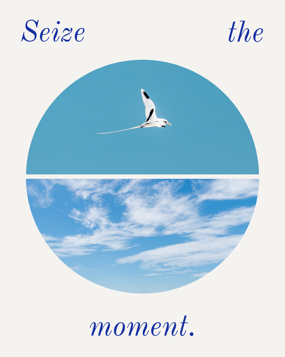 Blue Circle with Bird and Sky Inspirational Instagram Portrait