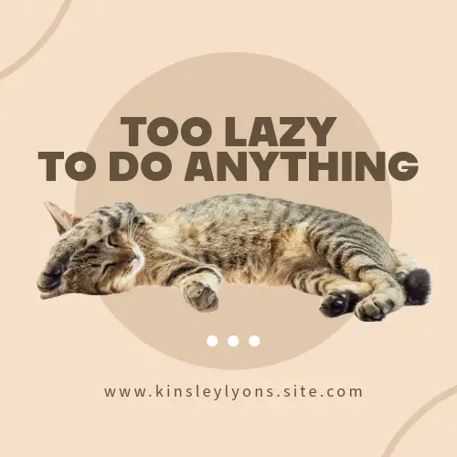 Beige and Brown Cat Jokes Word Meme