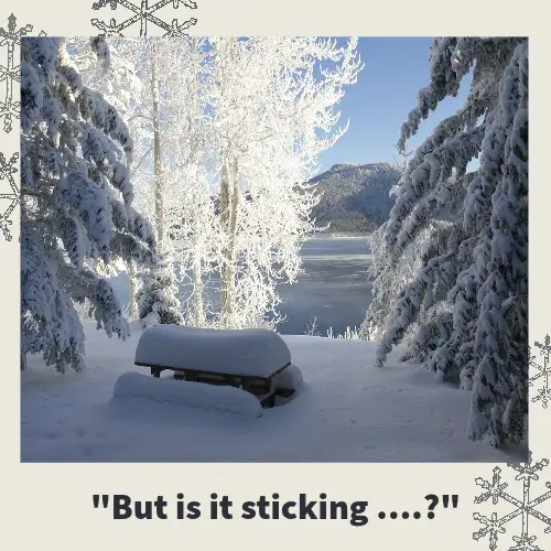 Cream And Black Weather Meme