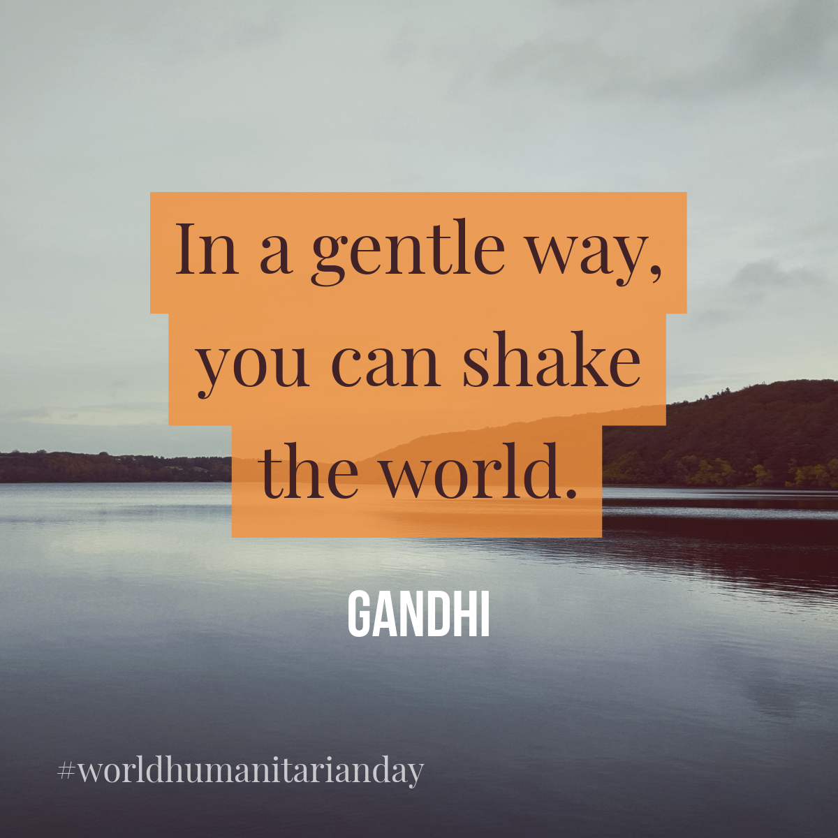 In a gentle way, you can shake the world Instagram Square