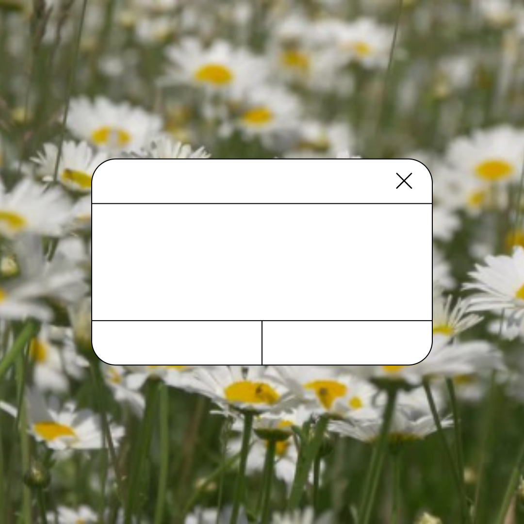 Daisy We're Hiring Mock Box Instagram Square Ad