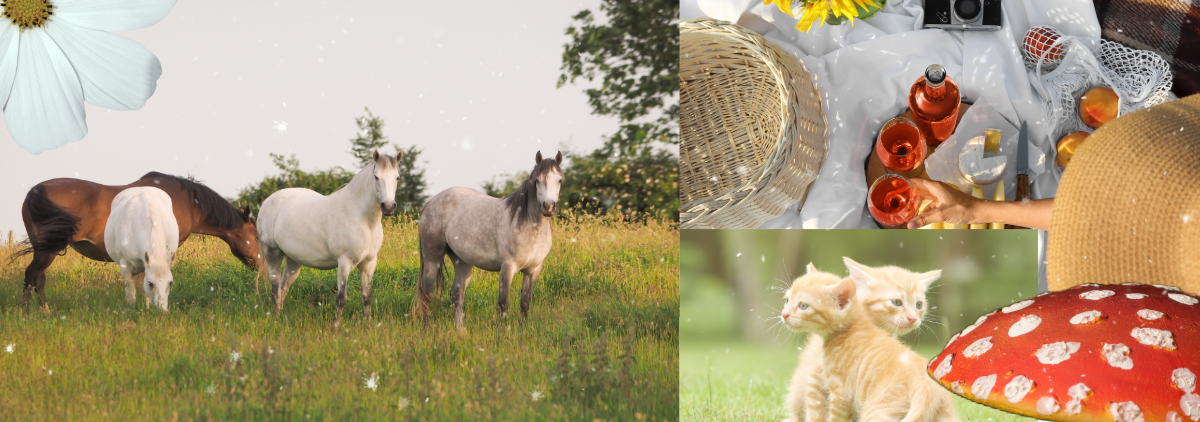 Green and White Light Cottagecore Tumblr Banner