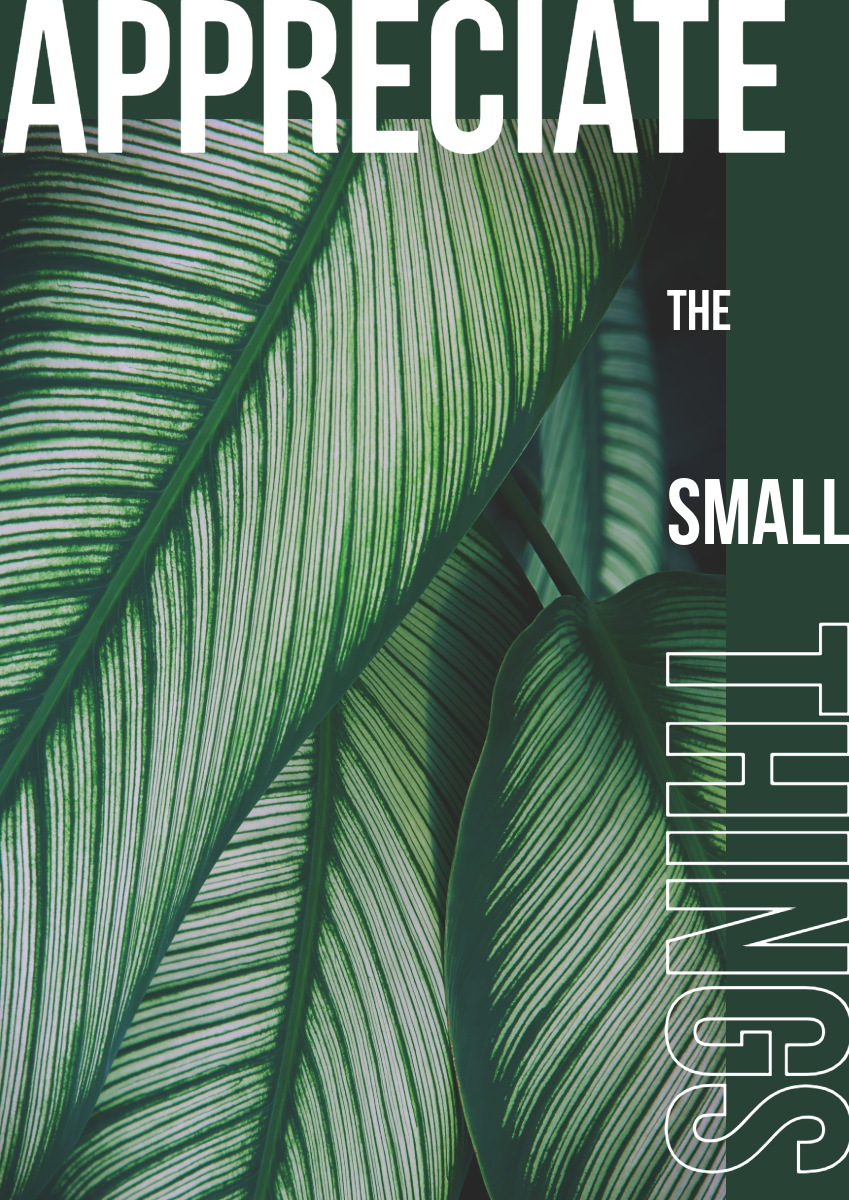 Green & White Appreciate the Small Things Leaves Tropical A3 Poster