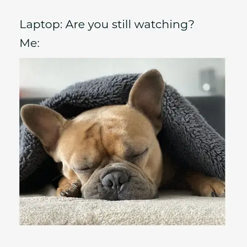 Black Grey Are You Still Watching Meme Square