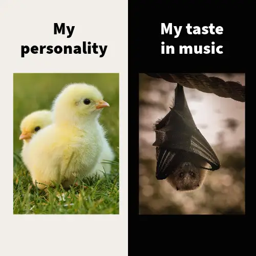 Black And White Duality Duck Bat British Meme