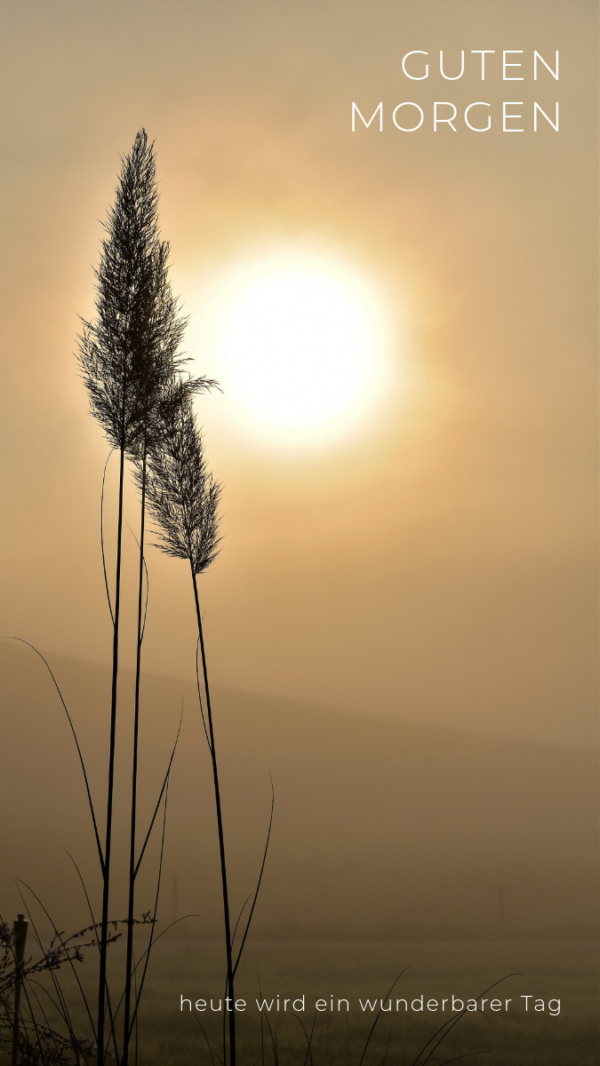 Good Morning Sunrise Mobile Wallpaper