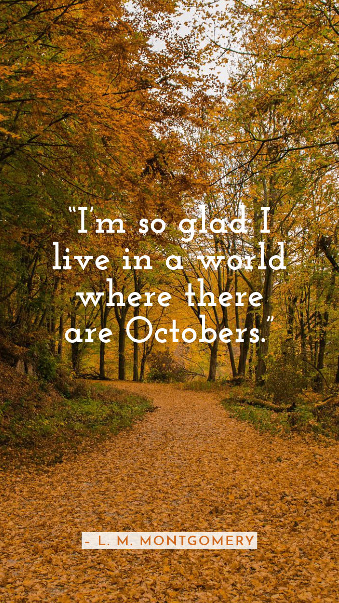 Orange Brown Green & White Autumn October Leaves Forest Positive Quote Instagram Story