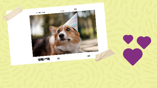 Yellow and Purple Dog Birthday Youtube Video