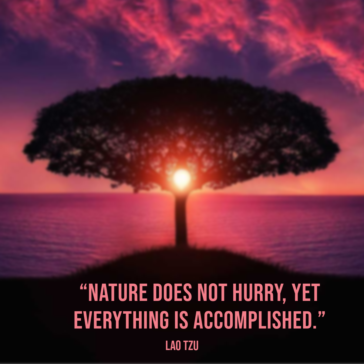 Tree at Sunset Inspirational Quote Instagram Square