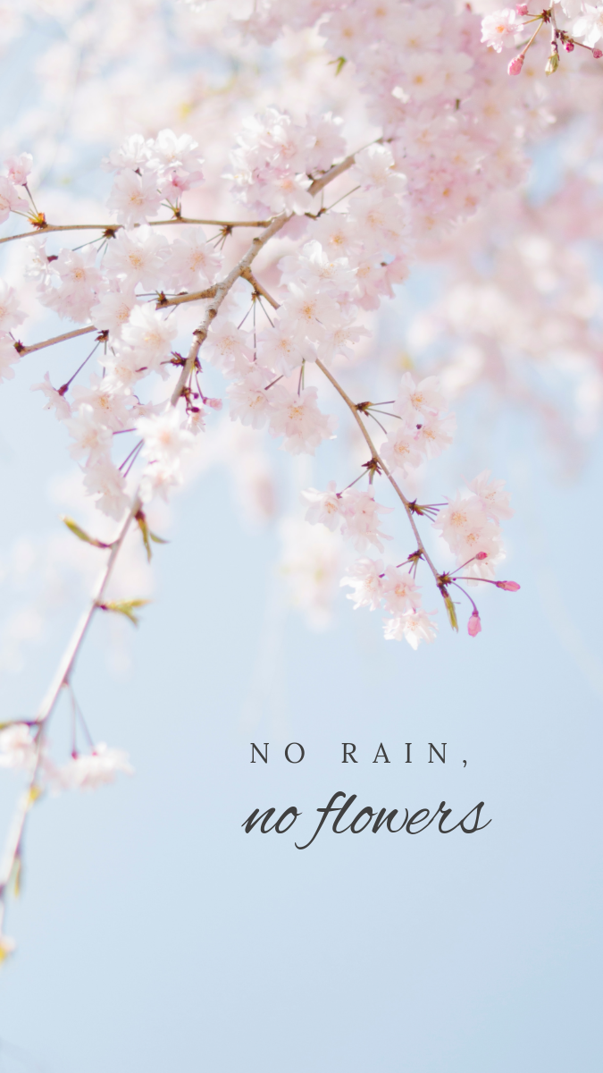 No Rain No Flowers Phone Wallpaper