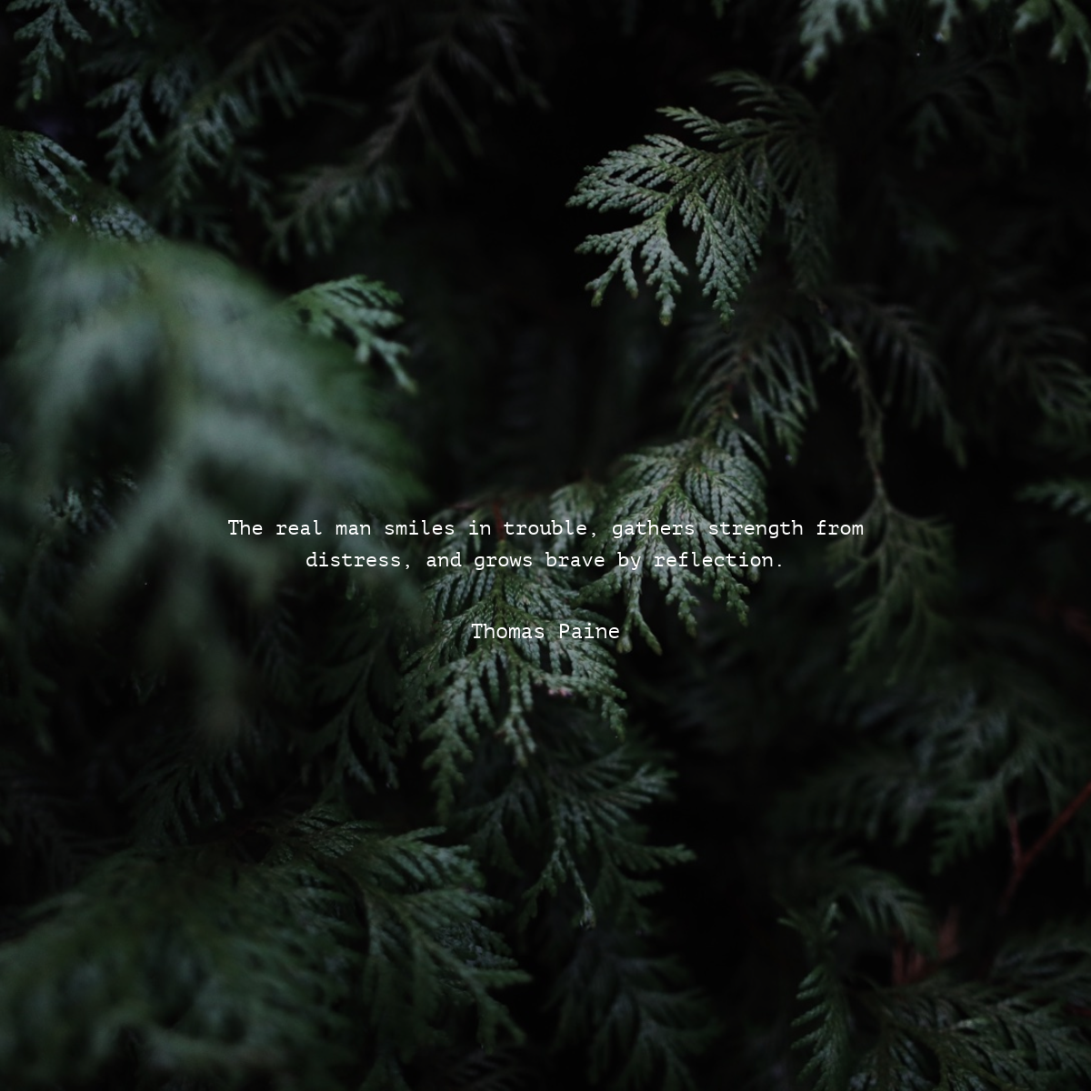 Dark Green Toned Encouraging Quote Instagram Square