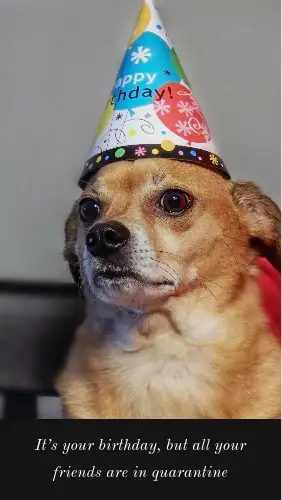 Birthday Instagram Story Meme