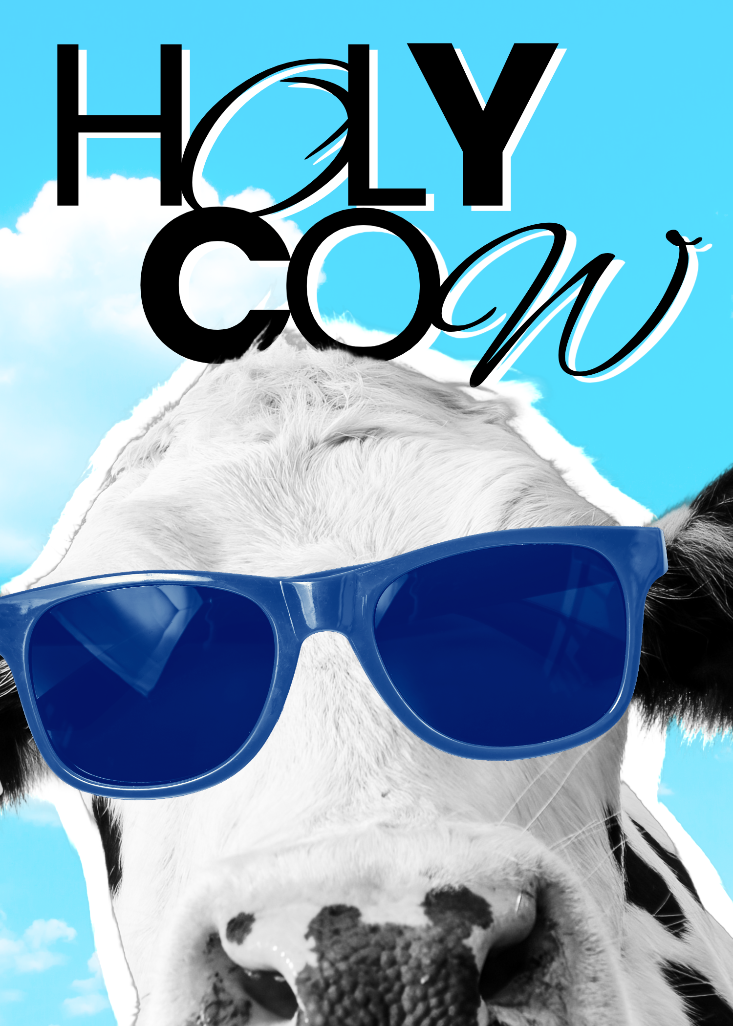 Blue Black and White Holy Cow Funny Birthday Card