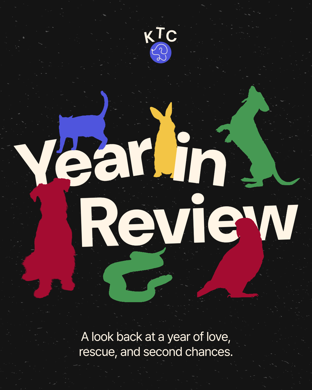 Bold and Playful Pet Year in Review Instagram Carousel